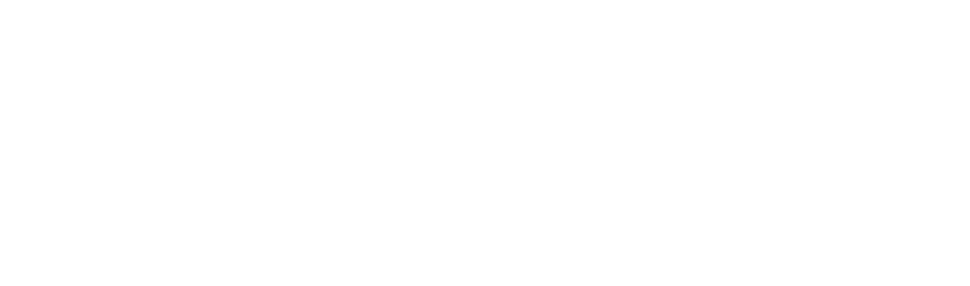 somo_group_F&I_Academy logo